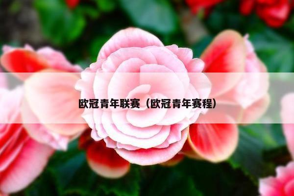 欧冠青年联赛（欧冠青年赛程）