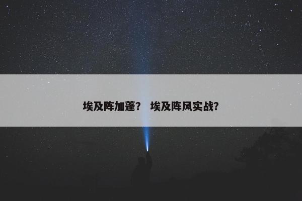 埃及阵加蓬？ 埃及阵风实战？