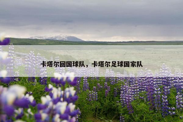 卡塔尔回国球队，卡塔尔足球国家队