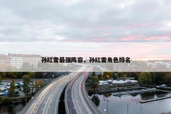 孙红雷最强阵容，孙红雷角色排名