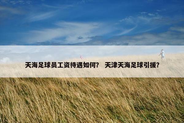 天海足球员工资待遇如何？ 天津天海足球引援？