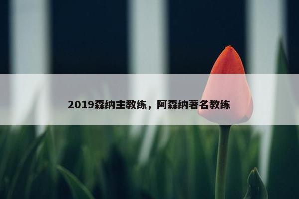 2019森纳主教练,阿森纳著名教练 2019森纳主教练,阿森纳著名教练