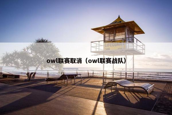owl联赛取消(owl联赛战队) owl联赛取消(owl联赛战队)