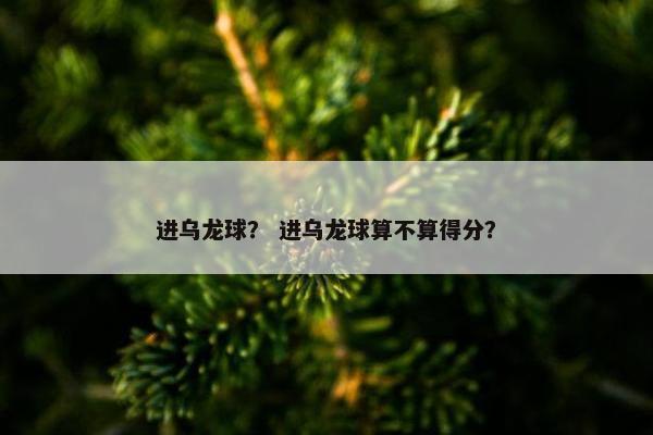 进乌龙球? 进乌龙球算不算得分? 进乌龙球? 进乌龙球算不算得分?