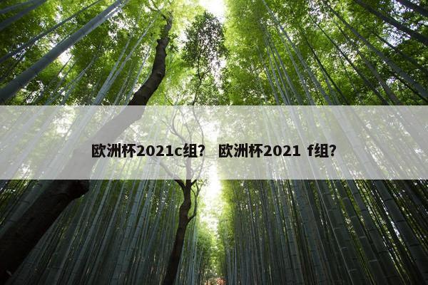 欧洲杯2021c组? 欧洲杯2021 f组? 欧洲杯2021c组? 欧洲杯2021 f组?