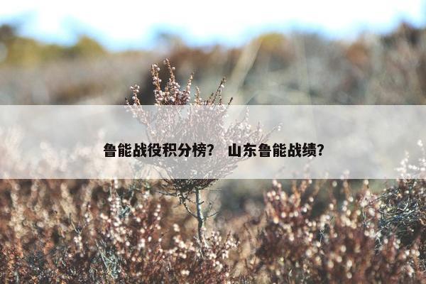 鲁能战役积分榜？ 山东鲁能战绩？