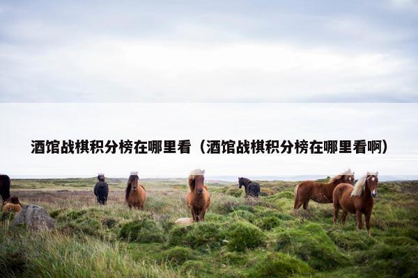 酒馆战棋积分榜在哪里看（酒馆战棋积分榜在哪里看啊）