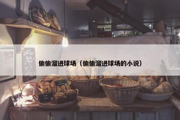 偷偷溜进球场（偷偷溜进球场的小说）