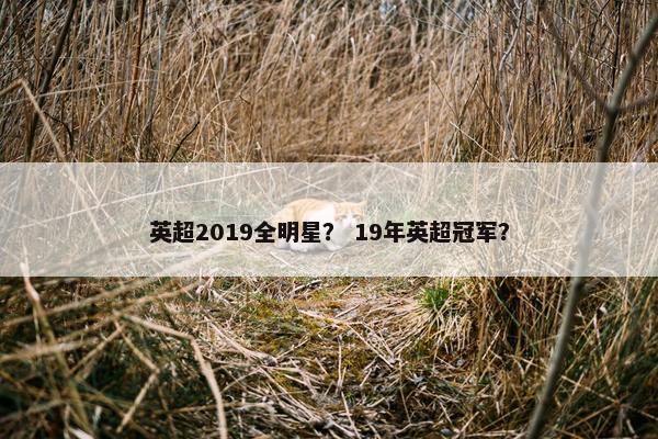英超2019全明星？ 19年英超冠军？