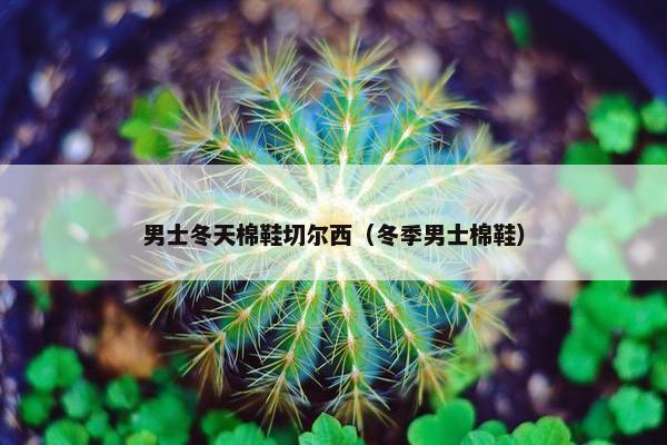 男士冬天棉鞋切尔西（冬季男士棉鞋）