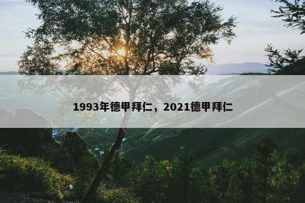 1993年德甲拜仁,2021德甲拜仁 1993年德甲拜仁,2021德甲拜仁
