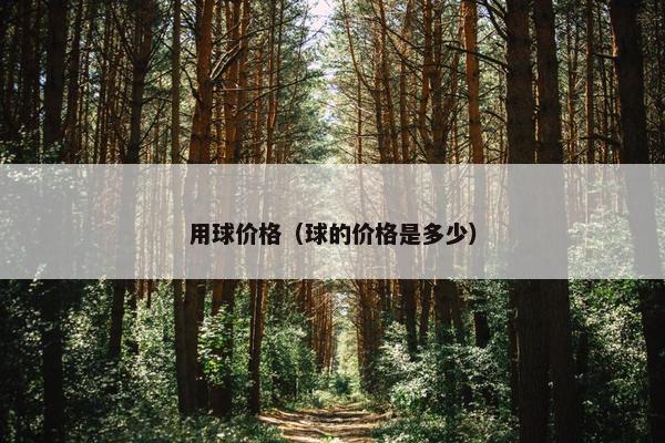 用球价格（球的价格是多少）