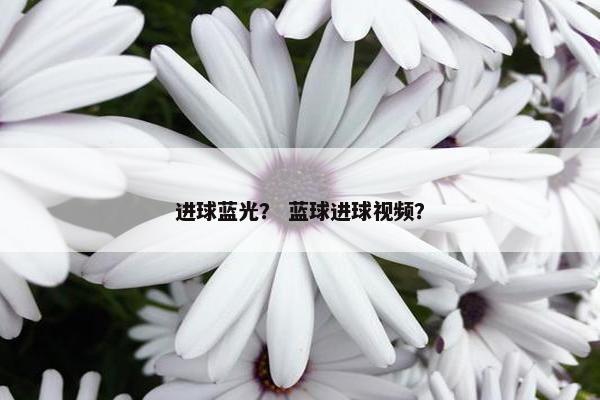 进球蓝光? 蓝球进球视频? 进球蓝光? 蓝球进球视频?