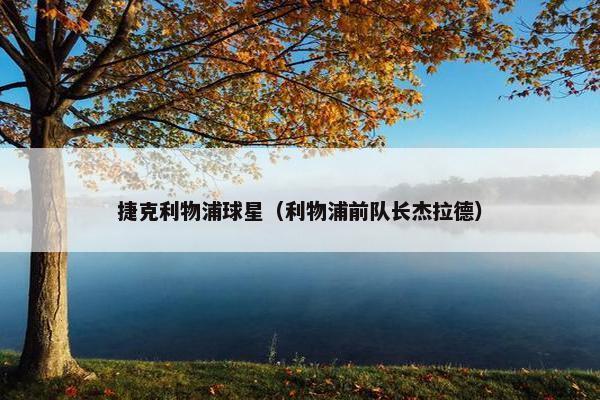 捷克利物浦球星（利物浦前队长杰拉德）