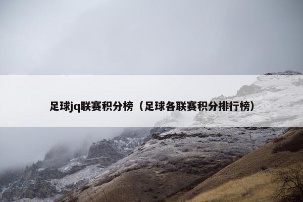 足球jq联赛积分榜（足球各联赛积分排行榜）