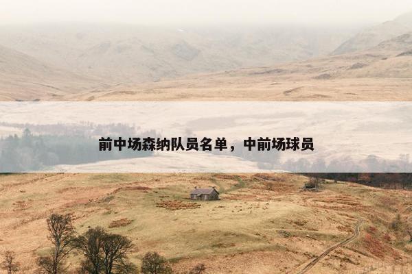 前中场森纳队员名单，中前场球员