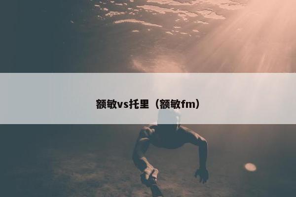 额敏vs托里（额敏fm）