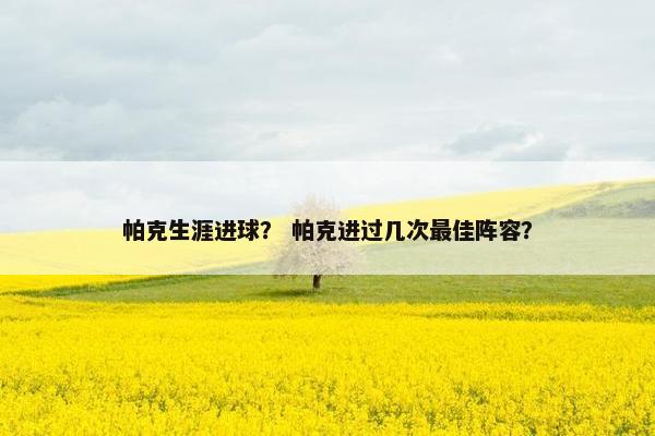 帕克生涯进球？ 帕克进过几次最佳阵容？