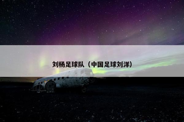 刘杨足球队（中国足球刘洋）