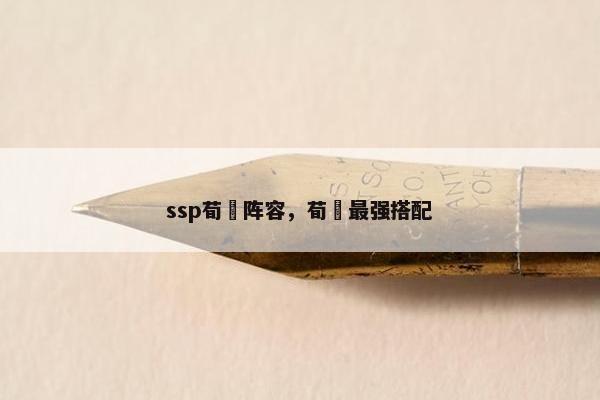 ssp荀彧阵容，荀彧最强搭配