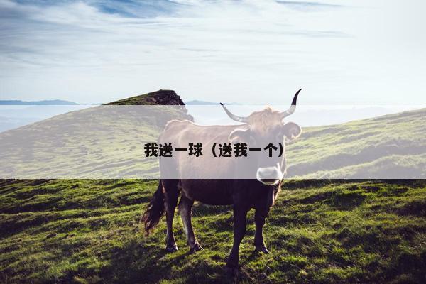 我送一球（送我一个）