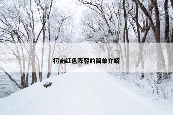 柯南红色阵容的简单介绍 柯南红色阵容的简单介绍